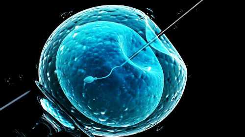 不孕不育症[优贝贝官网坤和助孕机构],南通供卵试管机构可以治疗子宫内膜异位