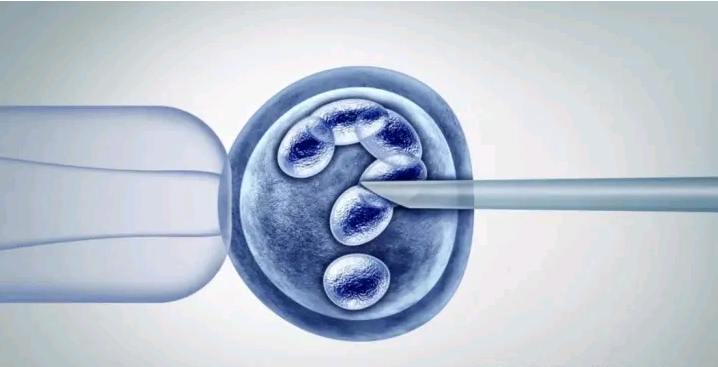 沈阳供卵15万包生男孩不可信，2026年辽宁供卵试管助孕费用明细一览表