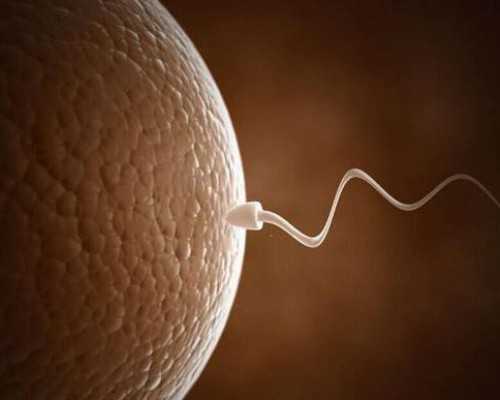 石家庄试管助孕费用，石家庄试管婴儿的费用