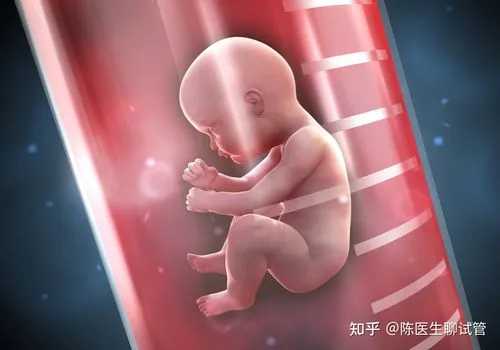 中国助孕机构咨询精因宝贝[供卵机构联系],昆明供卵需要等多久（哪里做供卵试