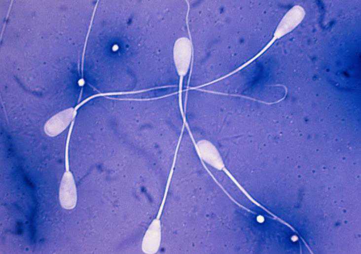 辽宁省中医院试管怎么样，2026最权威助孕成功率数据出炉