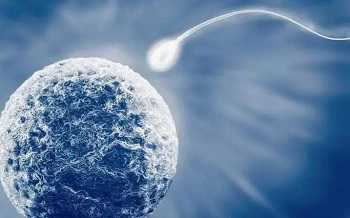 石家庄第三代试管助孕价格