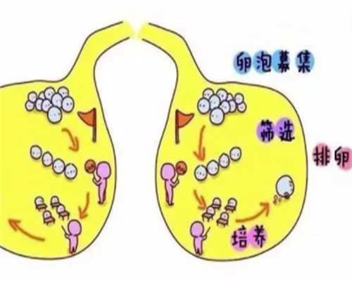 【广西三代供卵试管医院名单】广西供卵试管机构注意事项