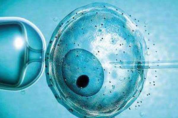 福建有代孕的地方吗,试管婴儿胚胎移植失败的原因有哪些-试管移植后可以吃酸