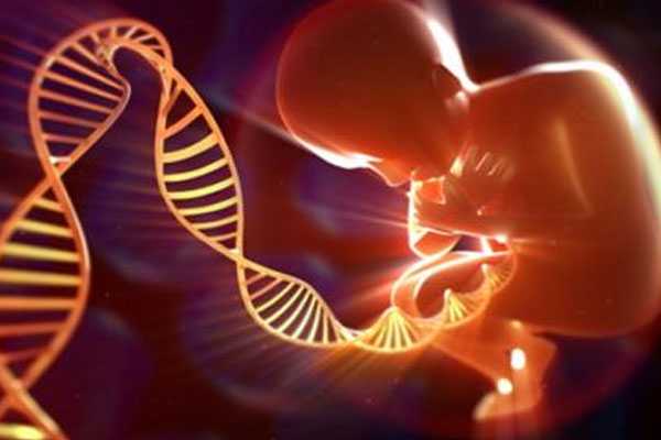 亳州绝经后能代孕吗,泰国试管婴儿移植几个胚胎？移植后的注意事项-广州能供