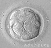 北京供卵去哪里找_孕妈课堂 - 专业人士带您走进试管婴儿，看看那些发生在“