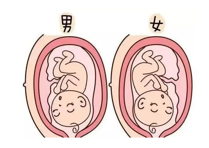 北京试管代怀条件 2022北京市人民医院试管婴儿成功率 ‘什么时候的孕囊形状看
